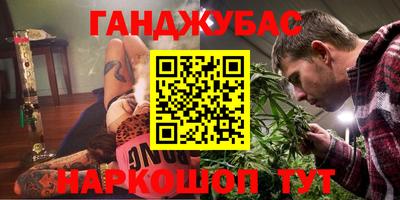 шишки Сланцы