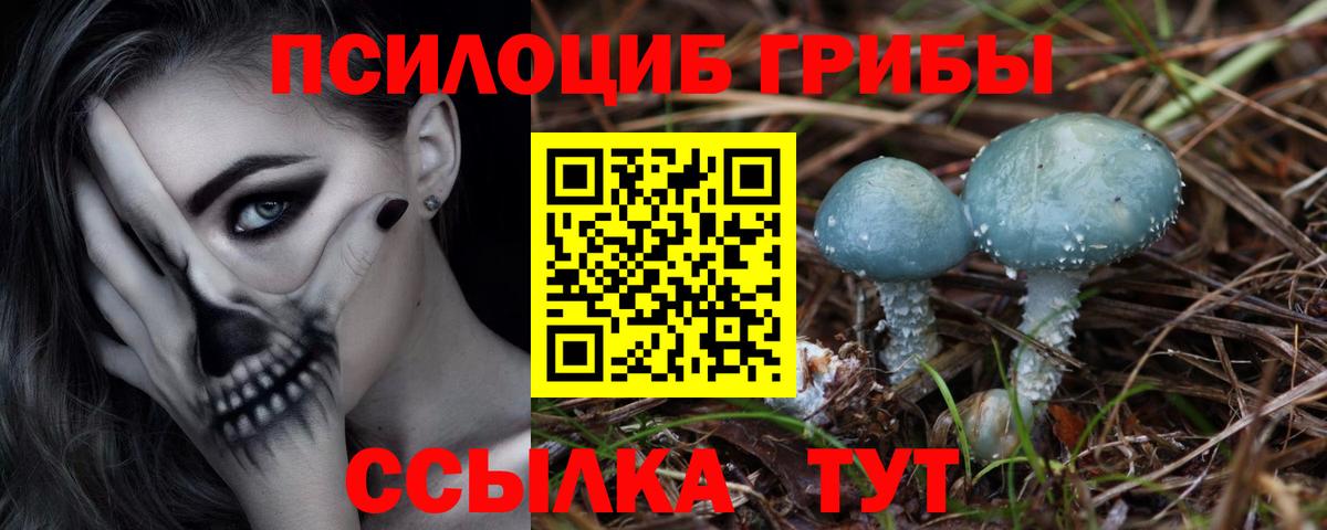 Нарткала  Псилоцибиновые грибы мухоморы  Вход с VPN 